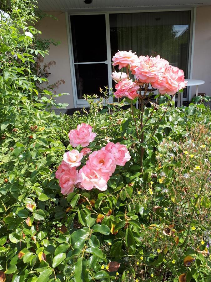 Entire House, Quiet Location, Garden, Parking Holiday home *